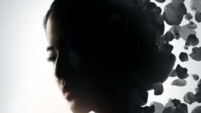 Hanung Bramantyo Andalkan Dian Sastro untuk Film Kartini 2.0