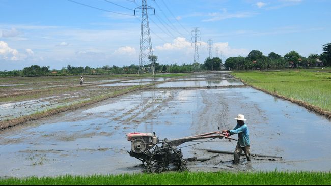 Amran Sebut Pemakai Kartu Tani Jokowi 'Cuma' 520 Ribu