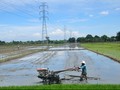 Amran Sebut Pemakai Kartu Tani Jokowi 'Cuma' 520 Ribu