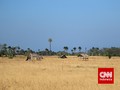 Saidjah dan Adinda, Fragmen yang Jadi Atraksi Wisata di Lebak