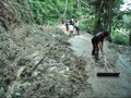 Hujan Deras, Tebing di Kawasan Wisata Jember Longsor