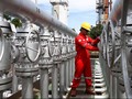 Pertamina EP Optimis Produksi Minyak Meningkat Tahun Ini