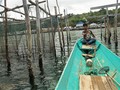 Kadin Gandeng Pengusaha Keramba Jaring Apung di Sulsel 2019