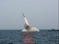 Angkatan Laut Rusia Uji Rudal Bulava dari Kapal Selam Nuklir