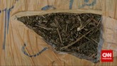 Sebagian kecil dari 2,1 ton ganja yang 'dipamerkan' Direktorat Tindak Pidana Narkoba Bareskrim di Lapangan Bhayangkara Mabes Polri, Jakarta, Senin (11/5). Sebanyak 1,4 ton ganja di antaranya disita saat petugas Polres Jakarta Barat menggagalkan penyelundupan ganja di Jalan Tol Dalam Kota, Jakarta Barat, 1 Mei 2015. (CNN Indonesia/Adhi Wicaksono)