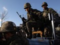 Korsel Kerahkan Tentara ke DMZ untuk Tangkap Babi Hutan Korut