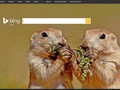 China Blokir Mesin Pencari Microsoft, Bing