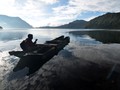 Tempat Ideal Melihat Kehidupan Alam Liar di Indonesia