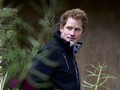Pangeran Harry Lihat Putri Diana dalam Diri Meghan Markle