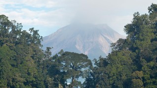 Pengelola Kerinci: Konversi Lahan Taman Nasional Meningkat
