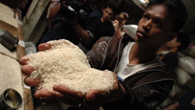 Beras Plastik Mengancam, BPOM Turun Tangan Bantu Kementan