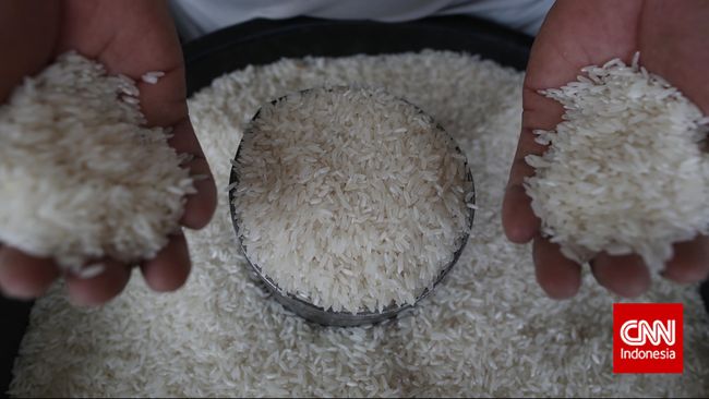 Wagub Djarot Berang: Beras Plastik Bisa Bunuh Orang!