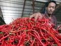 Pekan Kedua 2016, Laju Inflasi Sentuh 0,75 Persen