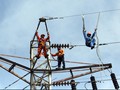 Demi Proyek 35 Ribu MW, PLN Rekrut 5000 Karyawan Setiap Tahun