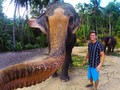 Gajah Rebut Kamera Manusia dan Buat Foto 'Elphie' Mengejutkan