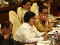 Empat Perusahaan Pembakar Hutan Segera Dijerat Pidana