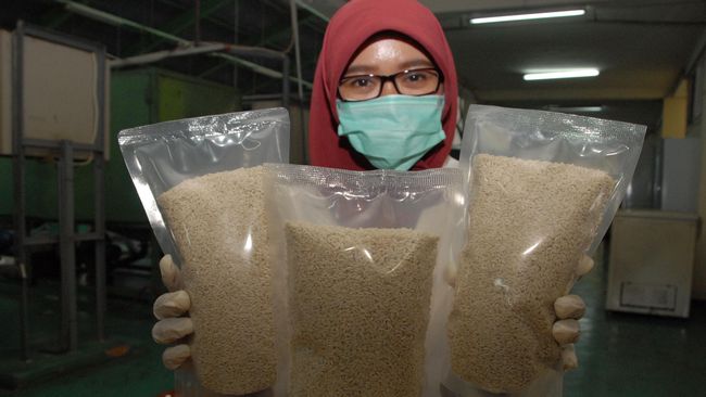 Mengenal Beras Analog, Pengganti Beras Padi