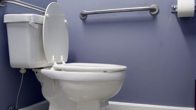Penyakit-penyakit yang Bisa Menular Lewat Dudukan Toilet