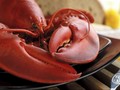 Restoran Seafood Diduga Sajikan Makanan dari Lobster Oplosan