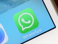 Cuma 50 Developer untuk 900 Juta Pengguna WhatsApp
