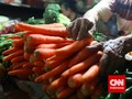 Polisi Ungkap Penyelundupan Bibit Wortel Ilegal Asal China