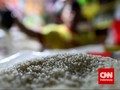 KPPU Awasi Kartel Beras di Makassar