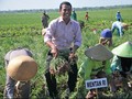 Mentan: Produksi Surplus, Harga Bawang Turun Seribu Persen