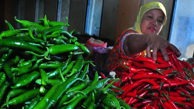 FAO: Harga Pangan Dunia Capai Titik Terendah dalam 7 Tahun