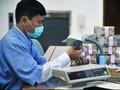 Menaker Sebut Perbankan Rentan PHK Pegawai Tahun Depan