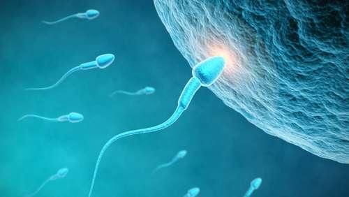 Sperma Bercampur Darah Saat Hubungan Intim, Gejala Apa? Sperma Bercampur Darah Saat Hubungan Intim, Gejala Apa?