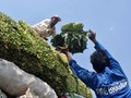 Harga Bahan Makanan Rendah, Oktober Deflasi 0,08 Persen