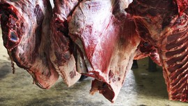 Polisi Amankan Daging dan Udang Berformalin di Depok