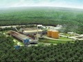 Industri Sawit Terpukul Dua Kali Akibat Kebakaran Hutan