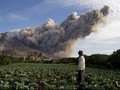 Abu Gunung Sinabung Tunda Aktivitas Turis di TN Leuser