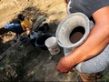 El Nino Landa Indonesia, Ini Dampak Ilmiahnya