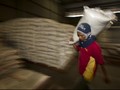 Mendag: 2016 RI Masih Impor Pangan