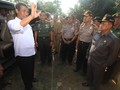 Ini Alasan Menteri Pertanian Izinkan Impor Sapi