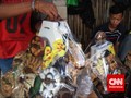 BPK Sebut Tak Pernah Kirim Parsel Ponsel ke Anggota DPR