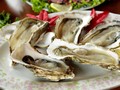 Jelang Valentine, Toko Seafood Inggris Korting Harga Tiram