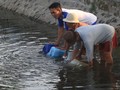 Kontaminasi Tinggi, Pasar Water Purifier Diproyeksi Tumbuh 5%