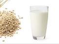Es Barley, Minuman Buka Puasa yang Nikmat dan Sehat