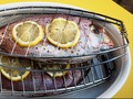 5 Manfaat Makan Ikan Air Tawar untuk Kesehatan