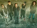 Grup Metal Korn Bakal Jualan Biji Kopi