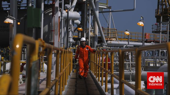 Bangun Pipa Gas, Pemerintah Perlu US$20,55 Miliar