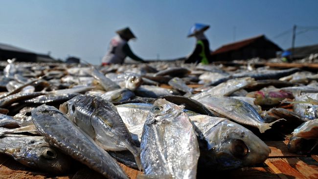 Ikan Kering