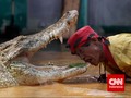 Kalteng Bakal Rangkul Manusia dan Buaya Lewat Ekowisata