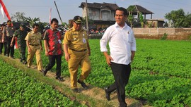 291 Permentan Dicabut, Investasi Tembus Rp270,1 Triliun