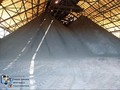 Ekspor Konsentrat Dihentikan, Saham Freeport Berantakan
