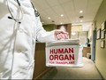 Pertama di Dunia, Cangkok Ginjal Lewat Vagina dengan Robot