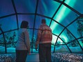 Finlandia, Negara Paling Bahagia Tahun Ini